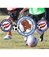 Blue Springs Youth Soccer