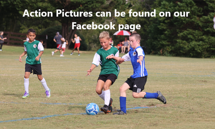 Bluesprings Soccer Association
