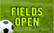 Field Status