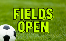 Field Status